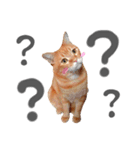 hknの日常3(文字あり )（個別スタンプ：15）