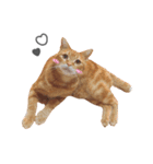 hknの日常3(文字あり )（個別スタンプ：18）