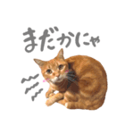 hknの日常3(文字あり )（個別スタンプ：27）