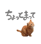 hknの日常3(文字あり )（個別スタンプ：30）