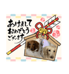 年越しスタンプえな＆みるくちゃんver.（個別スタンプ：19）