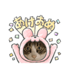 たま空新年（個別スタンプ：1）
