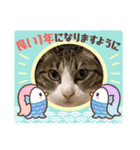 たま空新年（個別スタンプ：4）