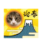 たま空新年（個別スタンプ：5）
