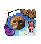 たま空新年（個別スタンプ：6）