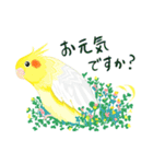 花と鳥さん その3（個別スタンプ：4）