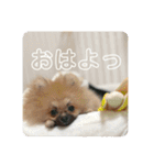 じゅなしあすたんぷ（個別スタンプ：1）