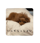 じゅなしあすたんぷ（個別スタンプ：4）