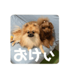 じゅなしあすたんぷ（個別スタンプ：8）