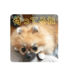 じゅなしあすたんぷ（個別スタンプ：9）