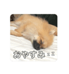 じゅなしあすたんぷ（個別スタンプ：11）