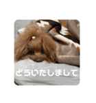 じゅなしあすたんぷ（個別スタンプ：12）