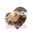 じゅなしあすたんぷ（個別スタンプ：14）