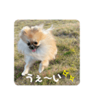 じゅなしあすたんぷ（個別スタンプ：29）