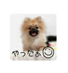 じゅなしあすたんぷ（個別スタンプ：31）