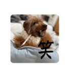 じゅなしあすたんぷ（個別スタンプ：32）
