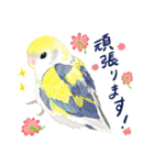 お花と鳥さん その2（個別スタンプ：6）