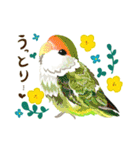 お花と鳥さん その2（個別スタンプ：24）