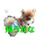 れんれん多めのスタンプ（個別スタンプ：16）