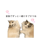 ぷくともっちゃ（個別スタンプ：3）