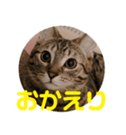 ノアくんスタンプpart1（個別スタンプ：4）