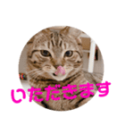 ノアくんスタンプpart1（個別スタンプ：6）