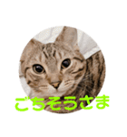 ノアくんスタンプpart1（個別スタンプ：7）
