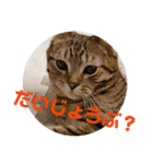 ノアくんスタンプpart1（個別スタンプ：14）