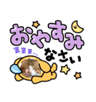 あもくんスタンプ♡4（個別スタンプ：1）