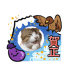 あもくんスタンプ♡4（個別スタンプ：7）
