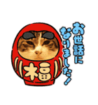 景虎(カゲトラ)君の成猫スタンプ4☆（個別スタンプ：6）