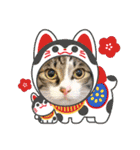 景虎(カゲトラ)君の成猫スタンプ4☆（個別スタンプ：7）