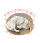 のりお色々（個別スタンプ：3）