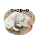 のりお色々（個別スタンプ：5）