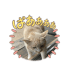 のりお色々（個別スタンプ：14）