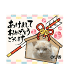 のりお色々（個別スタンプ：15）