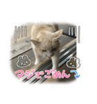 のりお色々（個別スタンプ：18）