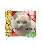 のりお色々（個別スタンプ：22）