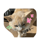 のりお色々（個別スタンプ：24）