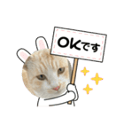 のりお色々（個別スタンプ：25）