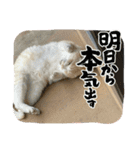 のりお色々（個別スタンプ：28）
