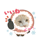 のりお色々（個別スタンプ：31）