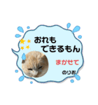 のりお色々（個別スタンプ：33）