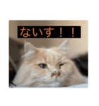 ここ、るる、りく（個別スタンプ：3）