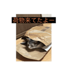 ここ、るる、りく（個別スタンプ：5）