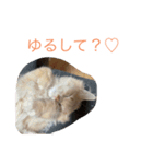 ここ、るる、りく（個別スタンプ：6）