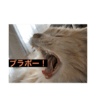 ここ、るる、りく（個別スタンプ：8）