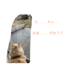 ここ、るる、りく（個別スタンプ：9）