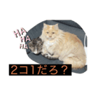 ここ、るる、りく（個別スタンプ：10）