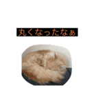 ここ、るる、りく（個別スタンプ：12）